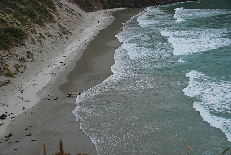 DSC_0254.JPG