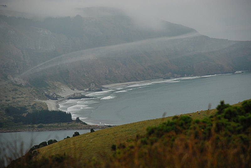 DSC_0205.JPG