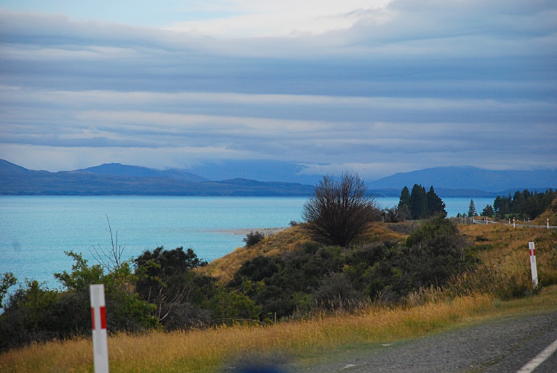 DSC_0696.JPG