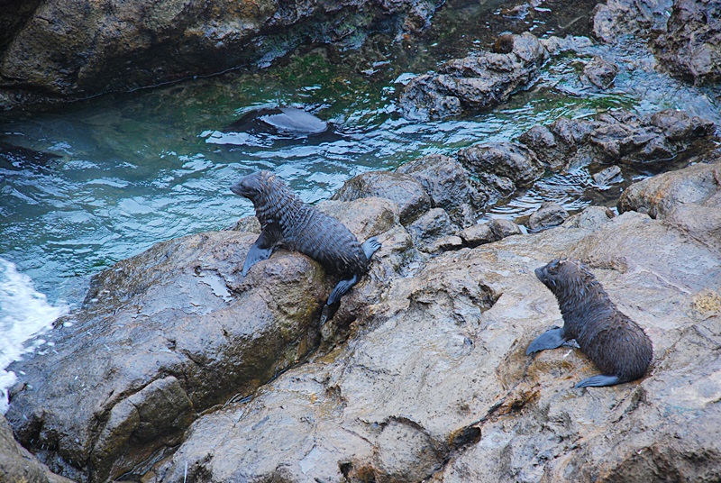 DSC_0241.JPG