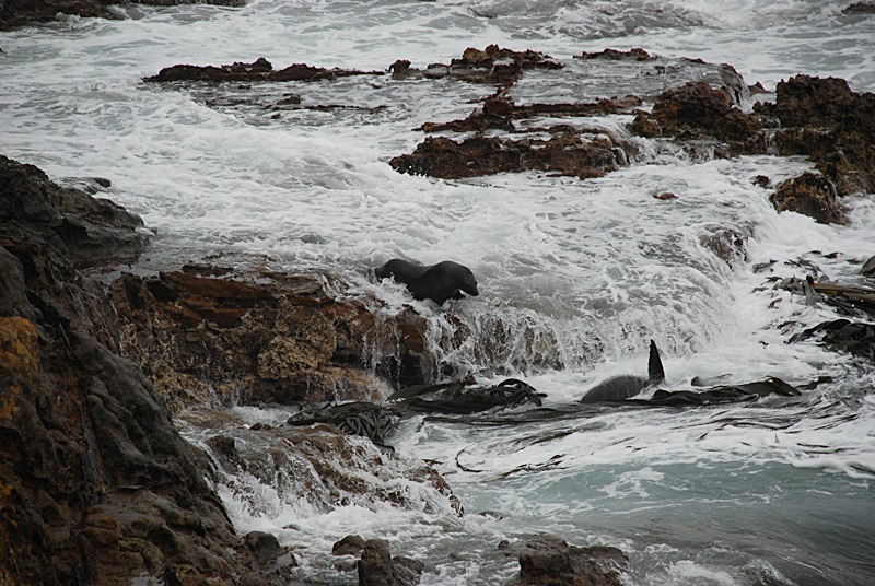 DSC_0244.JPG