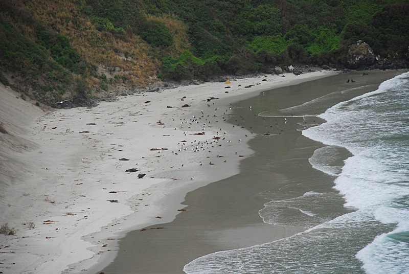 DSC_0256.JPG