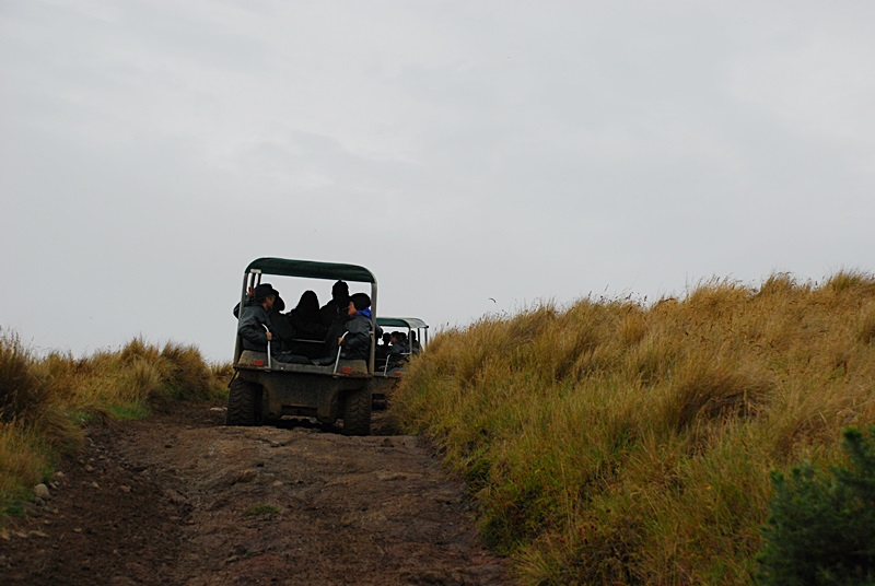 DSC_0259.JPG