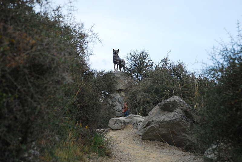 DSC_0707.JPG