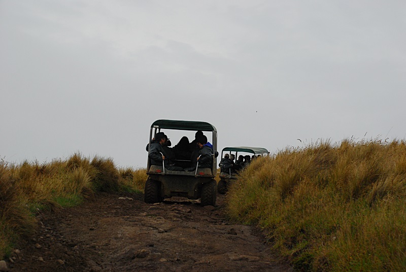 DSC_0260.JPG