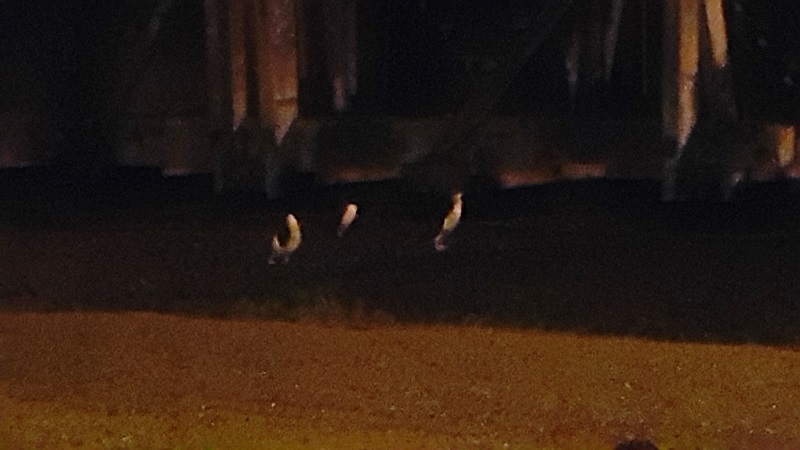 20160125_222310.jpg