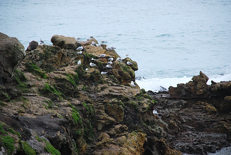 DSC_0218.JPG
