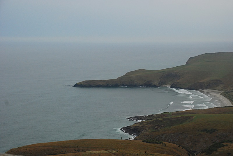 DSC_0208.JPG