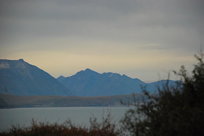 DSC_0702.JPG