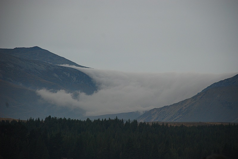 DSC_0704.JPG