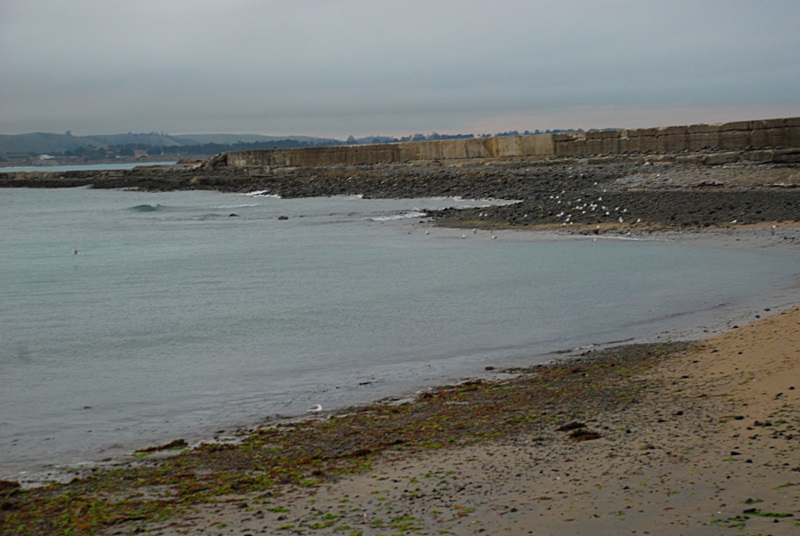 DSC_0274.JPG