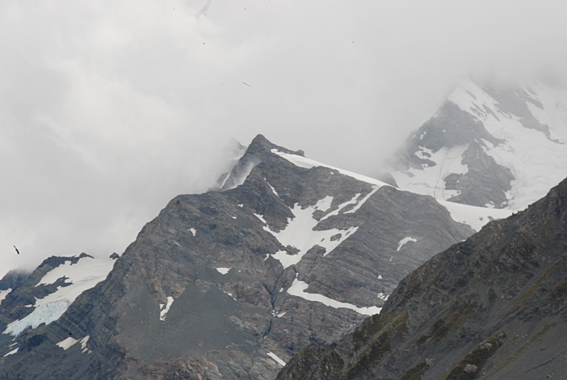 DSC_0591.JPG