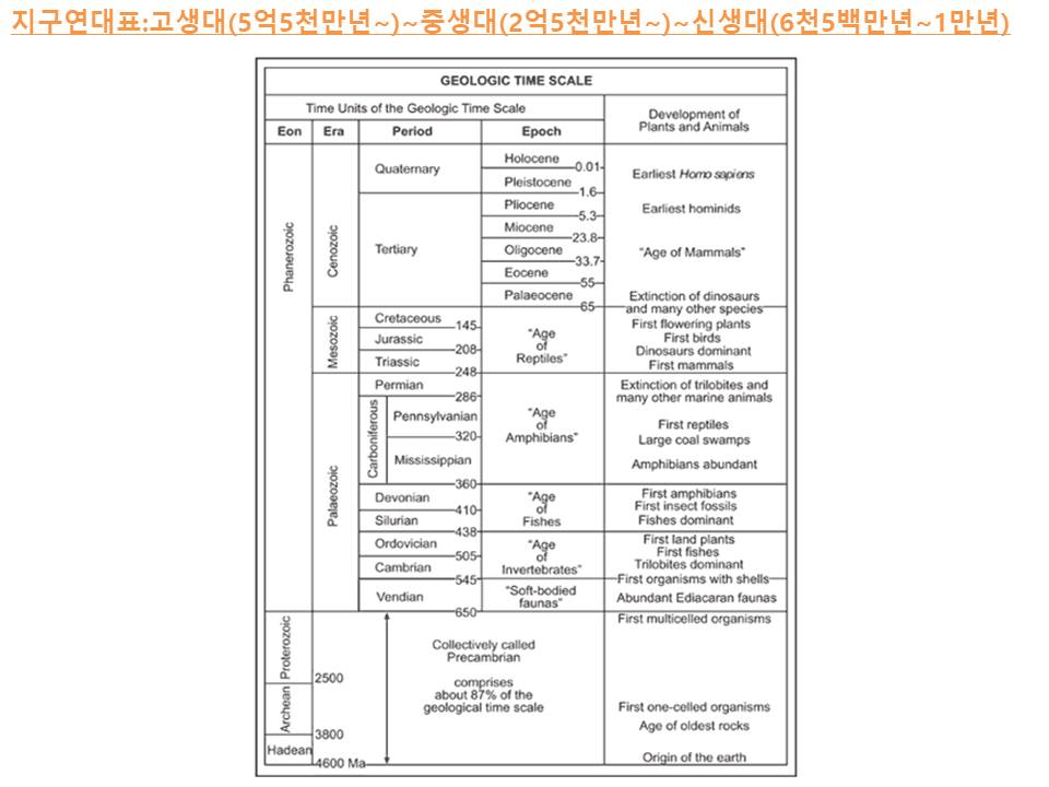 슬라이드18.JPG