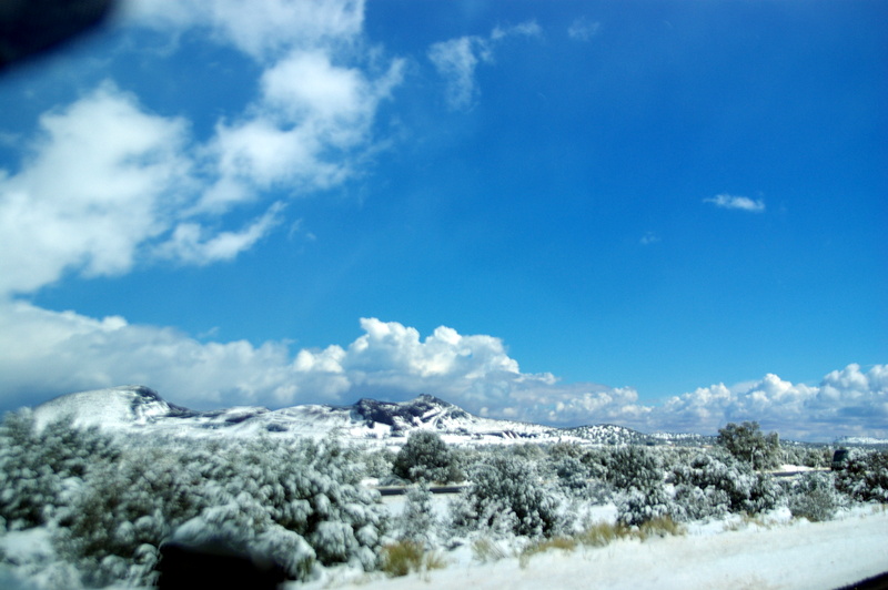 1-IMGP9630.JPG