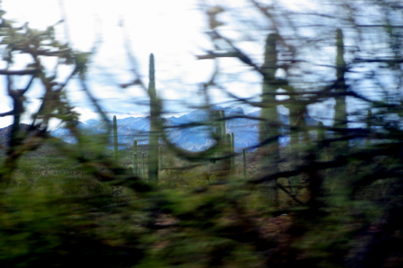 1-IMGP9008.JPG