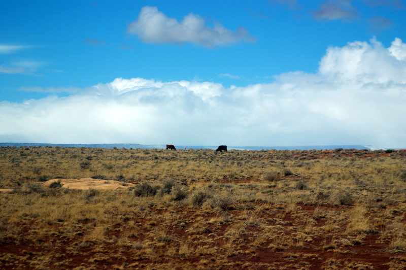 1-IMGP9662.JPG