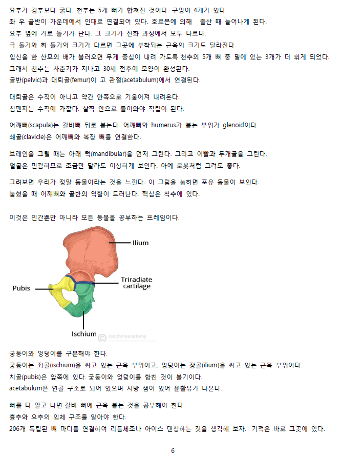 ScreenClip 06.png