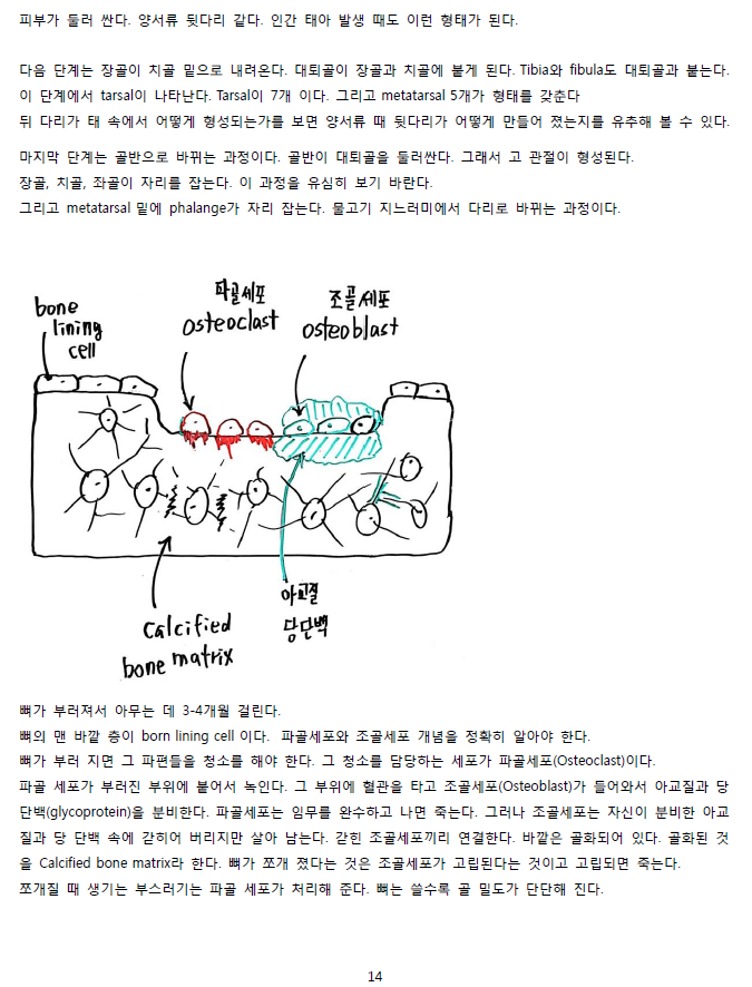 ScreenClip 14.png