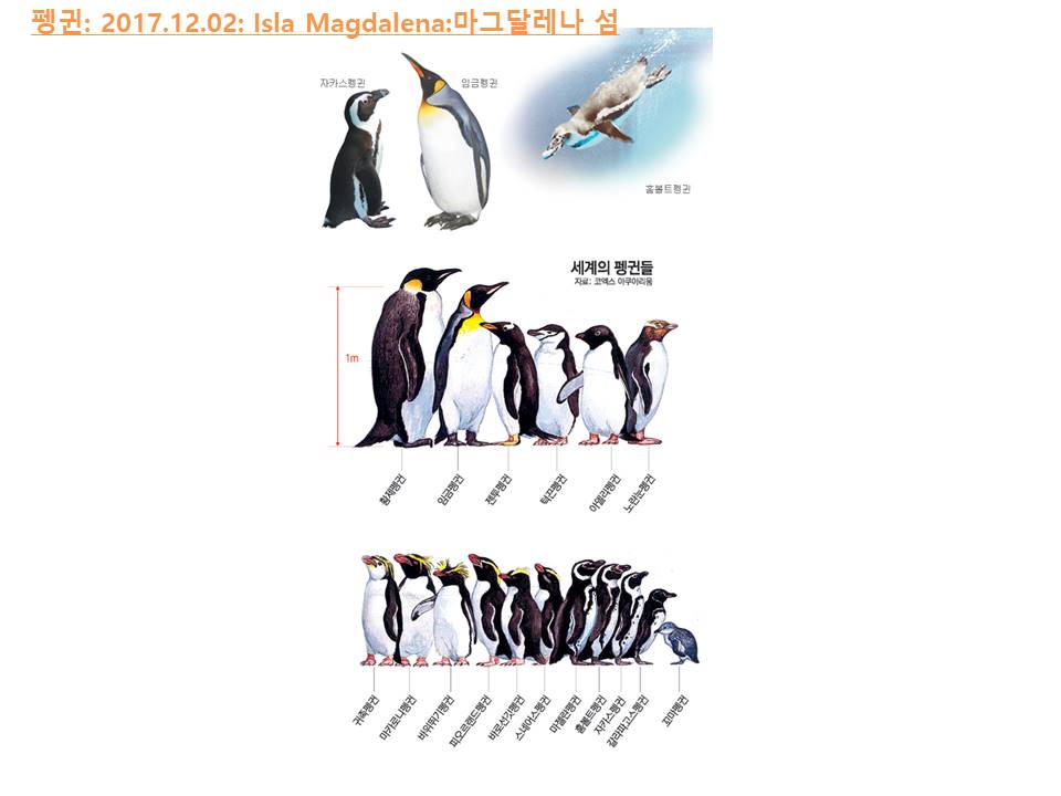 슬라이드51.JPG