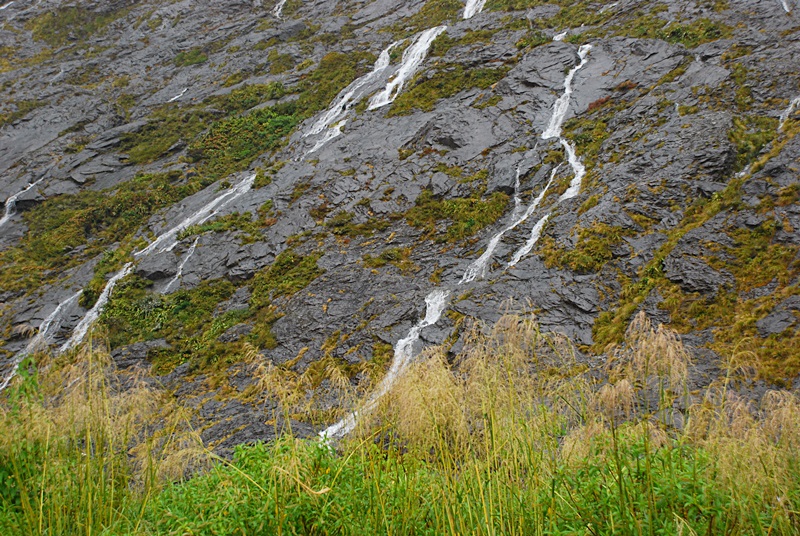 DSC_0517.JPG