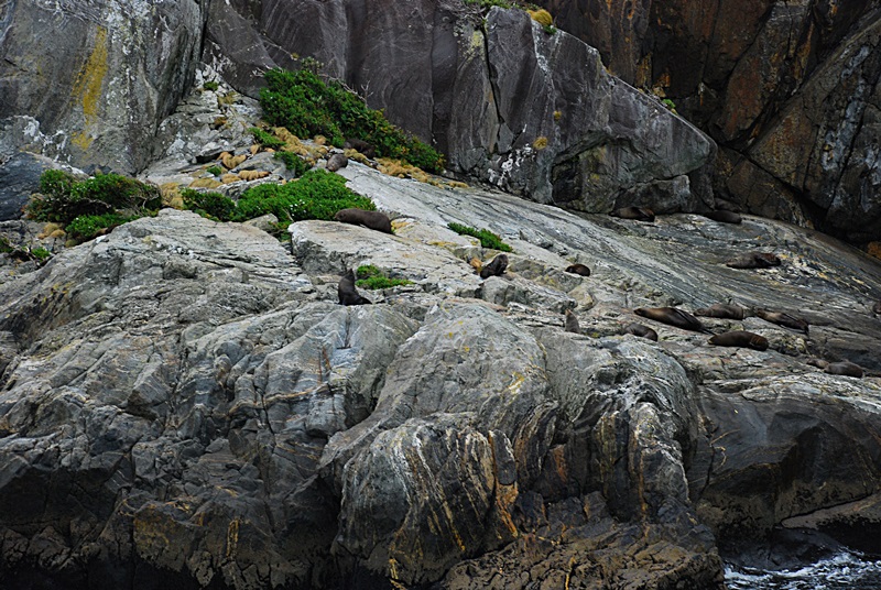 DSC_0573.JPG