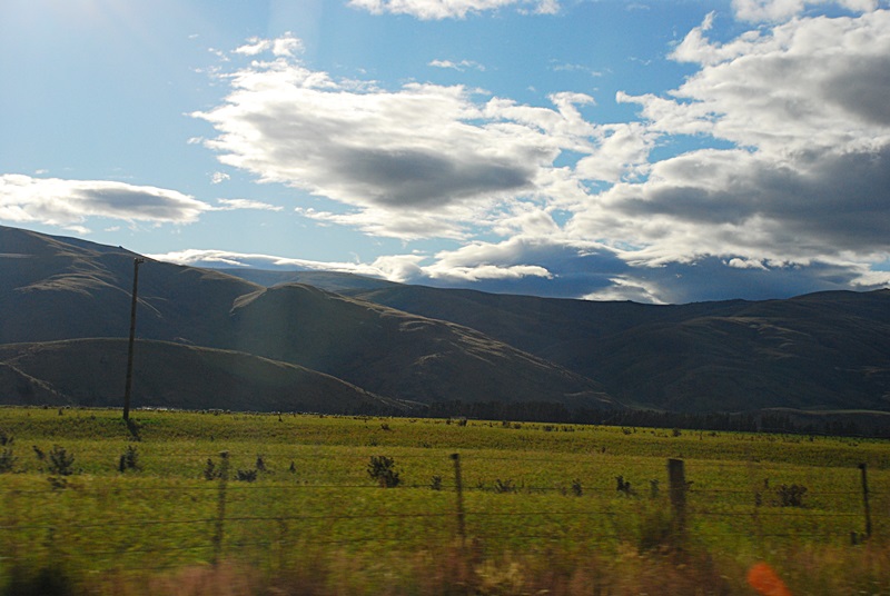 DSC_0439.JPG