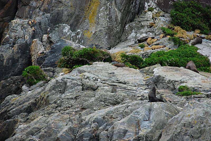 DSC_0577.JPG