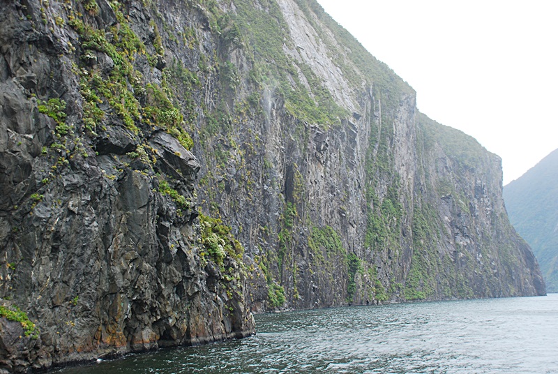 DSC_0557.JPG