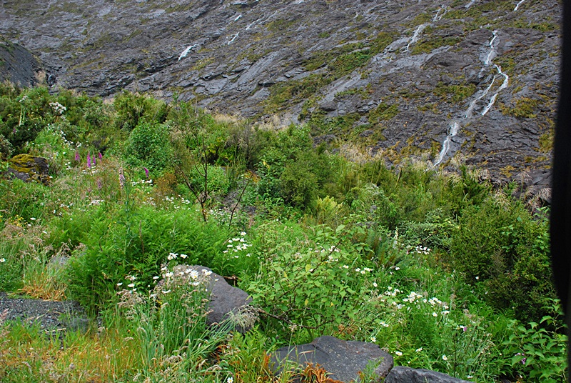 DSC_0783.JPG