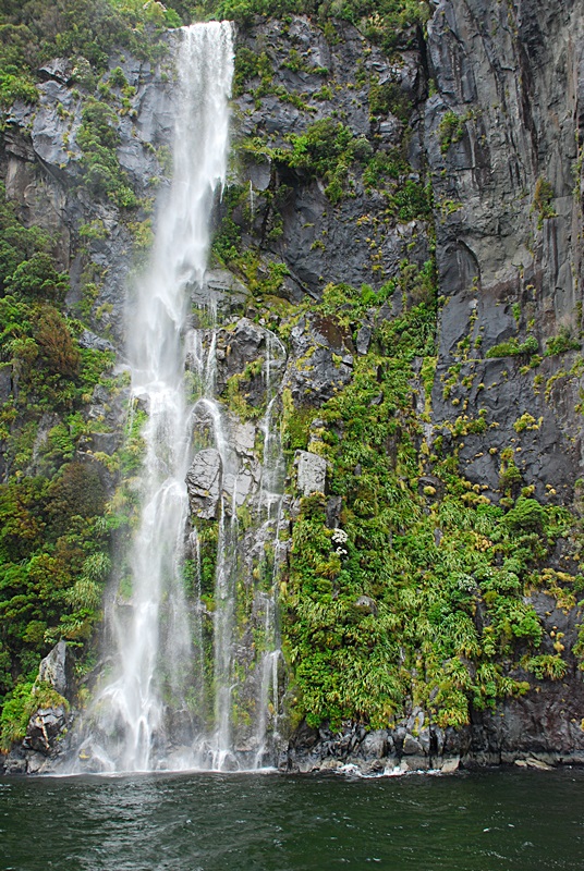 DSC_0556.JPG