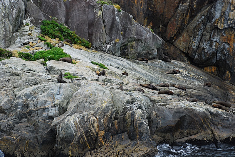 DSC_0574.JPG