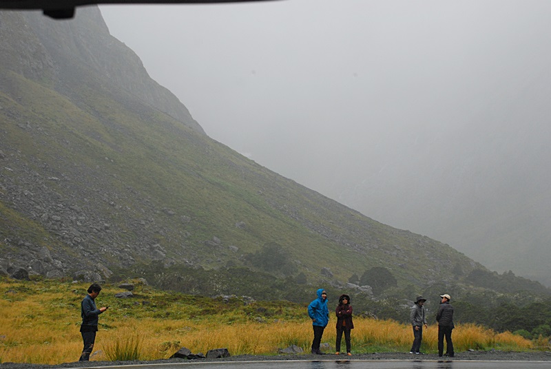 DSC_0498.JPG