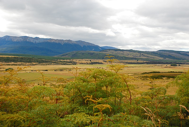 DSC_0450.JPG