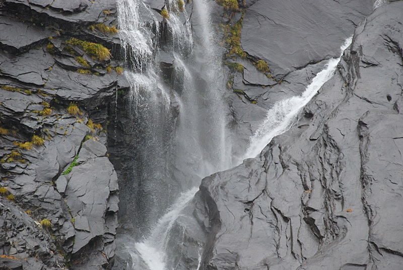 DSC_0490.JPG