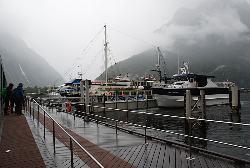 DSC_0529.JPG