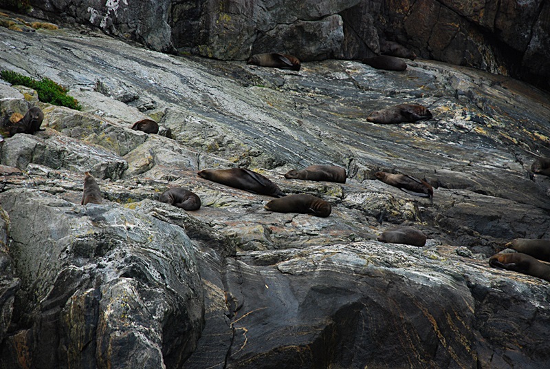 DSC_0576.JPG
