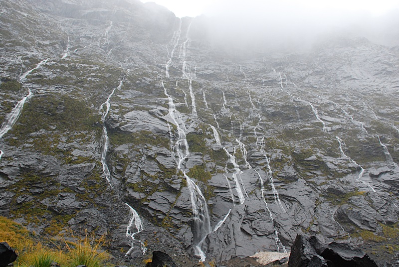 DSC_0492.JPG