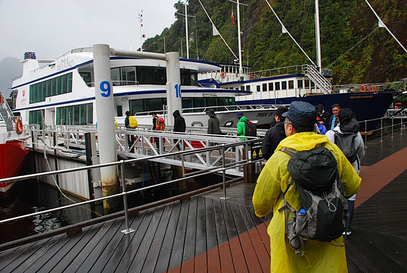 DSC_0530.JPG