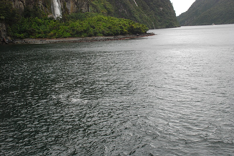 DSC_0607.JPG