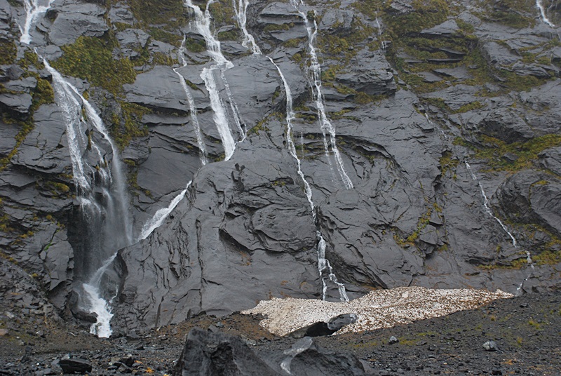 DSC_0501.JPG