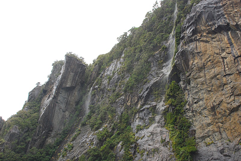 DSC_0600.JPG