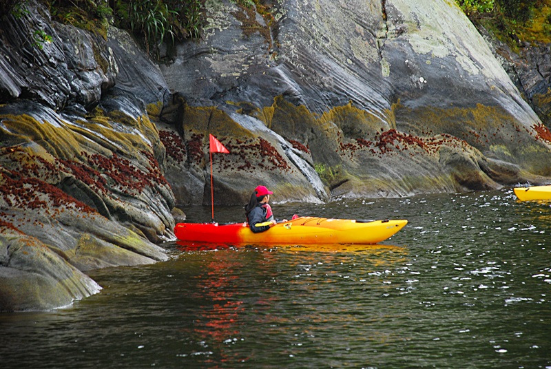 DSC_0700.JPG