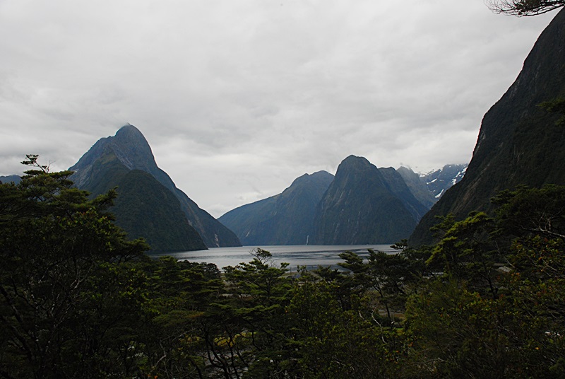 DSC_0771.JPG