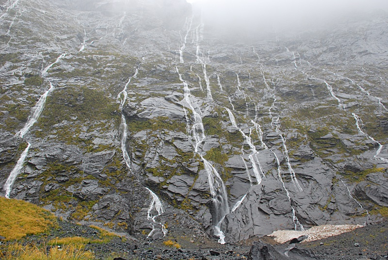 DSC_0488.JPG
