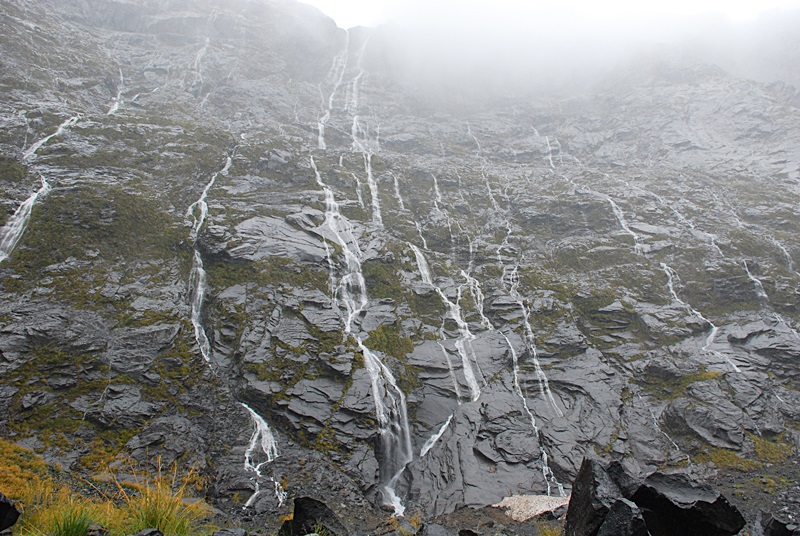 DSC_0494.JPG