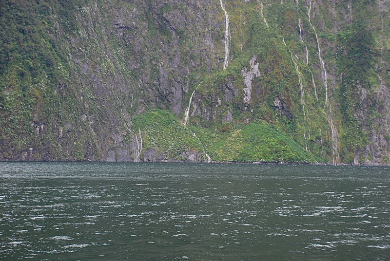 DSC_0558.JPG