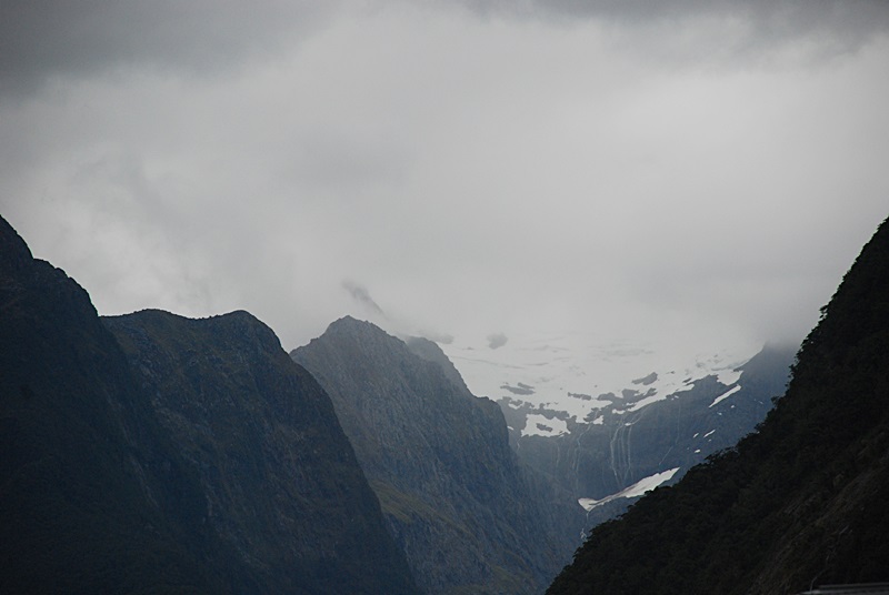 DSC_0773.JPG