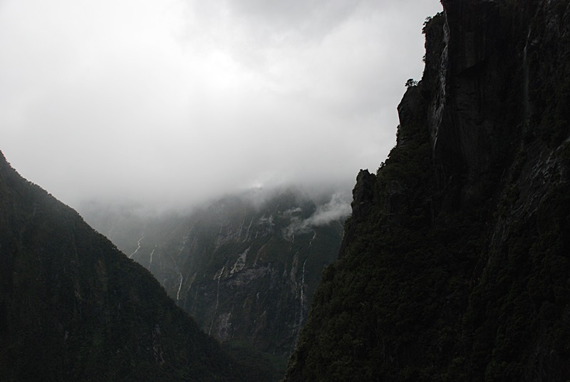 DSC_0602.JPG