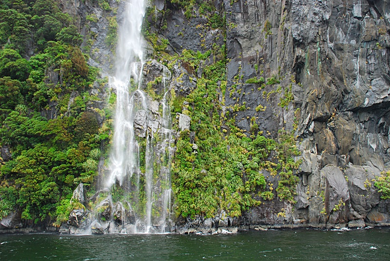 DSC_0553.JPG