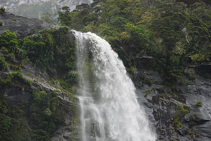DSC_0597.JPG